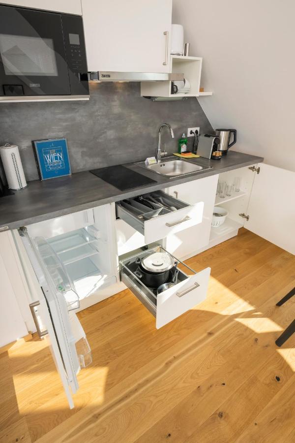 Rooftop Apartments Mit Grosser Terrasse فيينا المظهر الخارجي الصورة